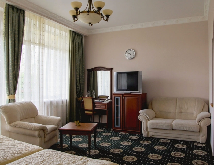 Студия 2 местный - Санаторий «Ревиталь Парк» Балашиха