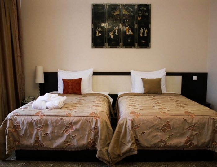 Студия 2 местный - Санаторий «Ревиталь Парк» Балашиха