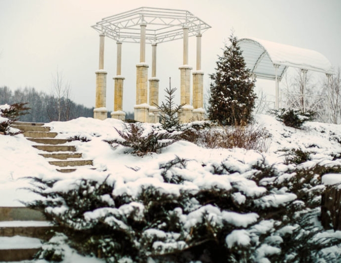 Санаторий «Ревиталь Парк» Балашиха