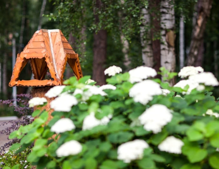 Санаторий «Ревиталь Парк» Балашиха