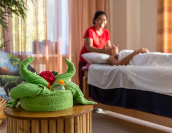 SPA-отдых - Санаторий «Ревиталь Парк» Балашиха