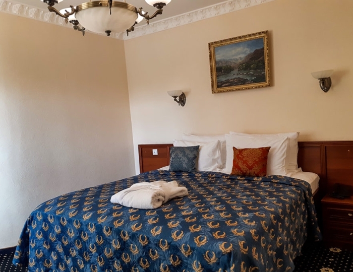 Полулюкс 2 местный 2 комнатный - Санаторий «Ревиталь Парк» Балашиха