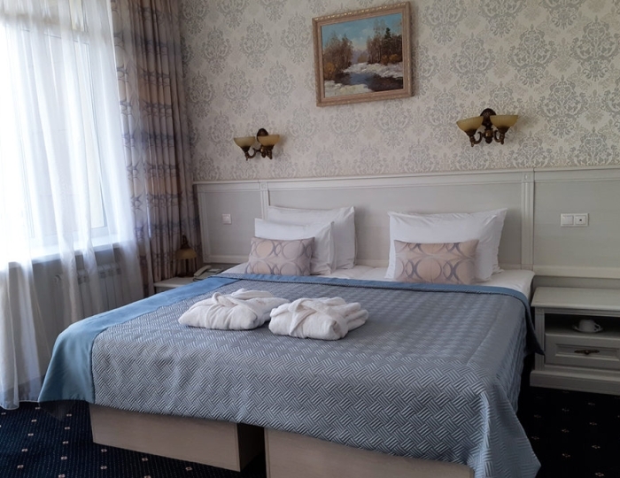 Стандартный 2 местный - Санаторий «Ревиталь Парк» Балашиха